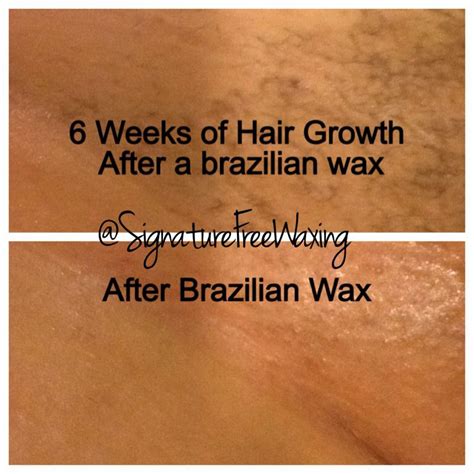 Brazilian wax after 2 weeks. Things To Know About Brazilian wax after 2 weeks. 